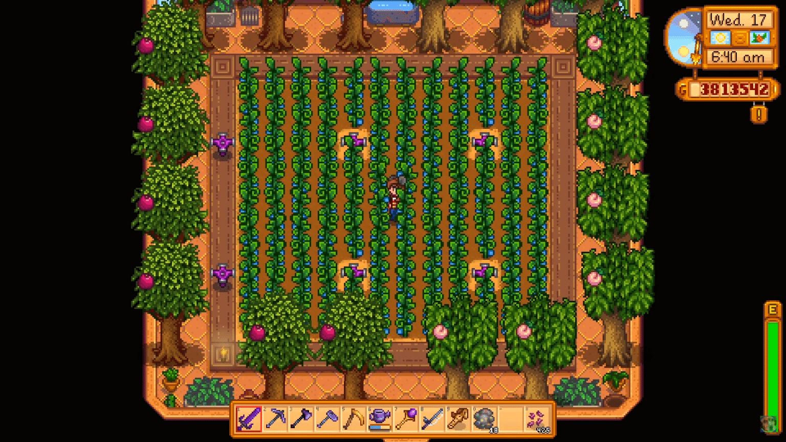 stardew greenhouse layout hops