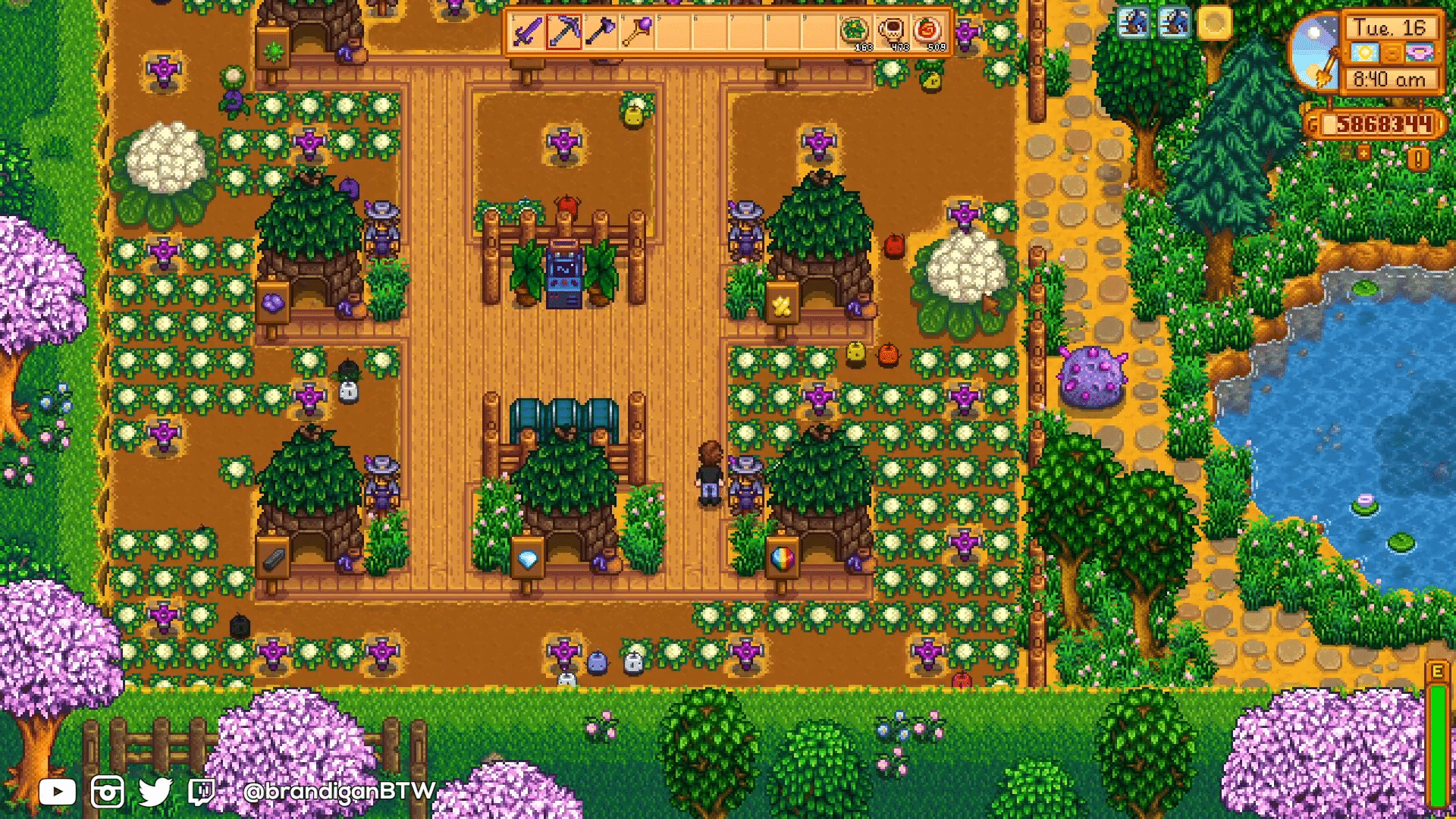 stardew valley fish junimo guide