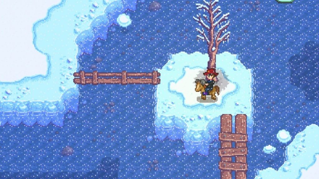 stardew valley bear in cindersap forest