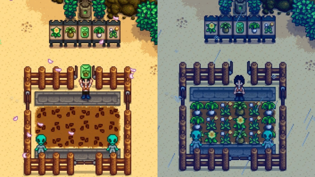 (Left) Spring Wild Seeds planted by the player (Right) harvesting the crops.