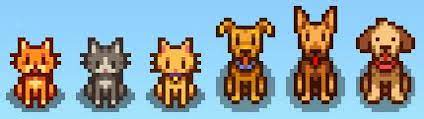 All the cat and dog variations in Stardew Valley