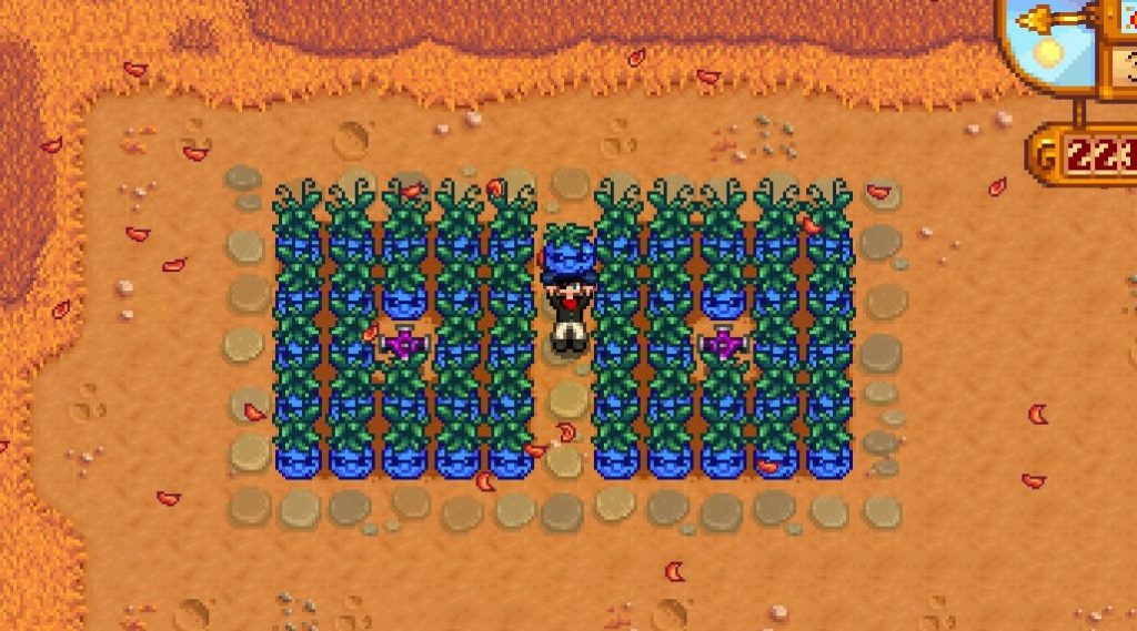 The player holding a Qi Fruit in a field of Qi Fruits.