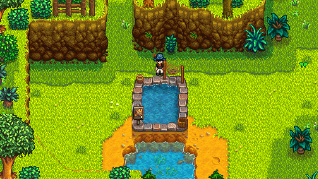 A Flounder inside the Fish Pond.