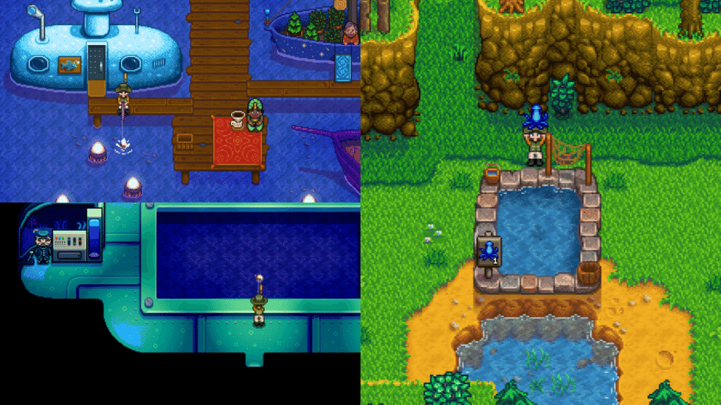 The Midnight Squid at Fish Pond in Stardew Valley.