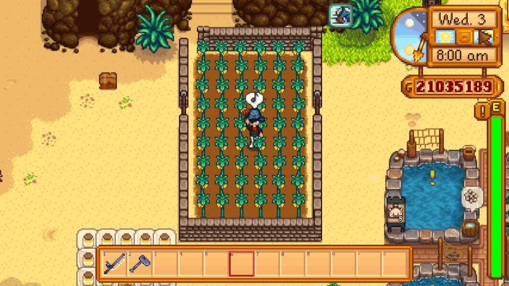 The player in a farm of Starfruit.
