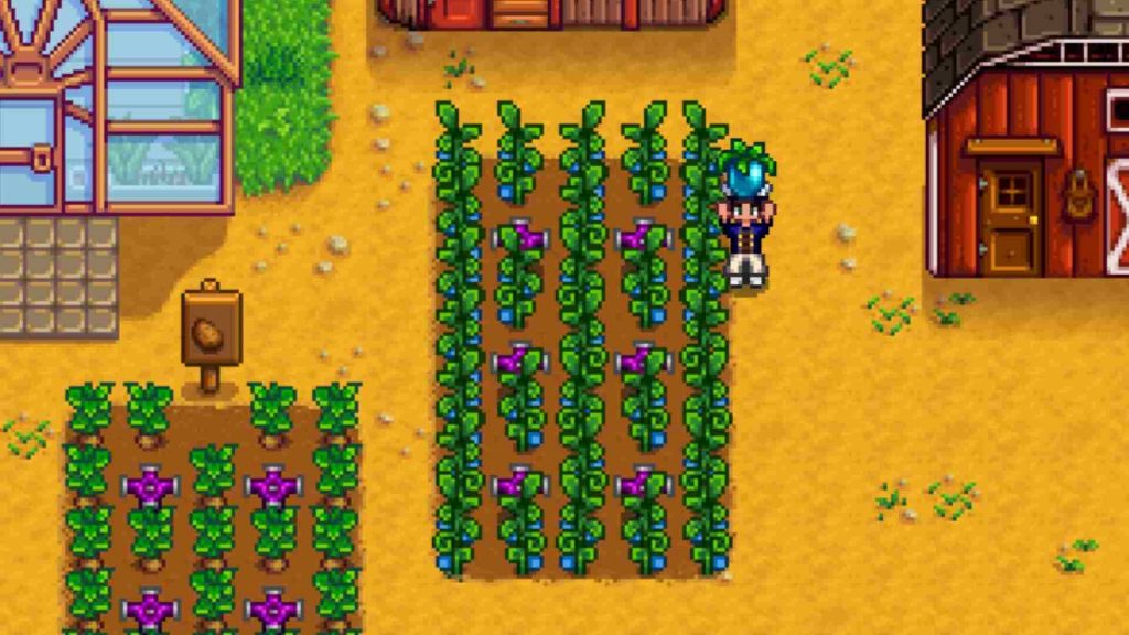 A player surrounded by Ancient Fruits in Stardew Valley.