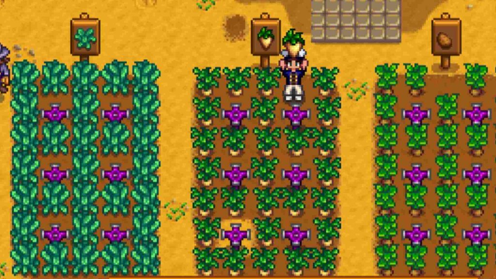 A player surrounded with parsnips in Stardew Valley.