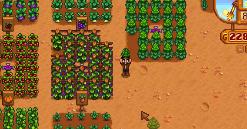 player holding artichoke in farm on stardew valley
