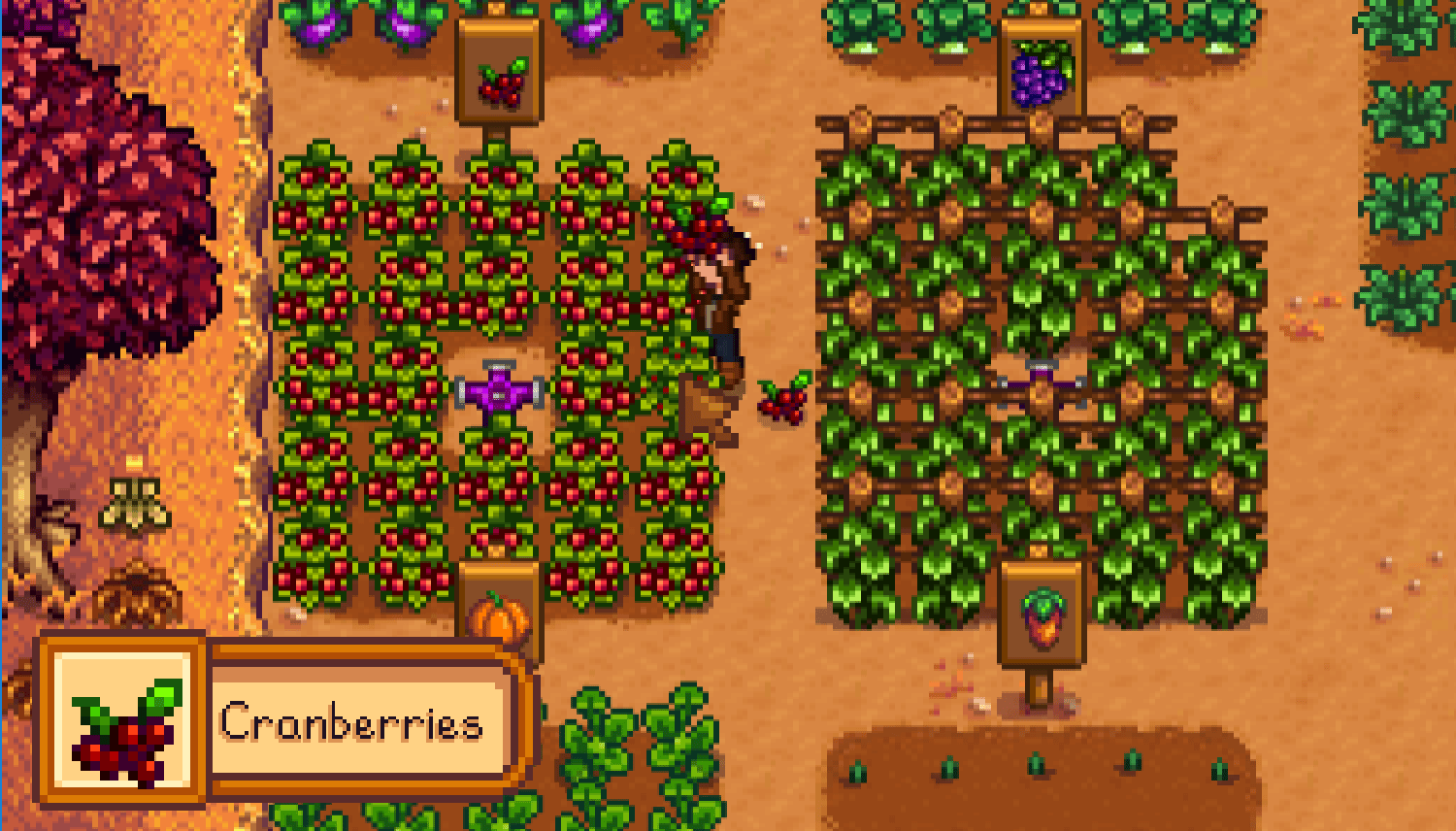 The 10 Best Fall Crops in Stardew Valley