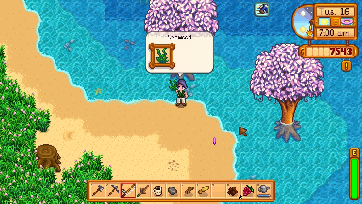 Beach Farm: Why You Should Choose This Beautiful Map - Stardew | Guide