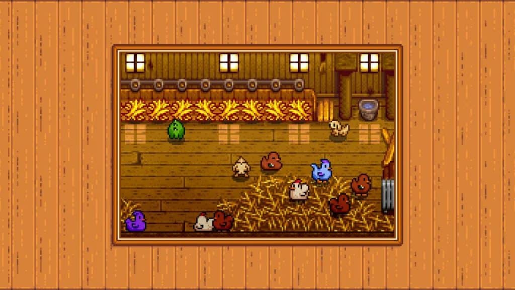 The Barn full of colorful chickens and rabbits.