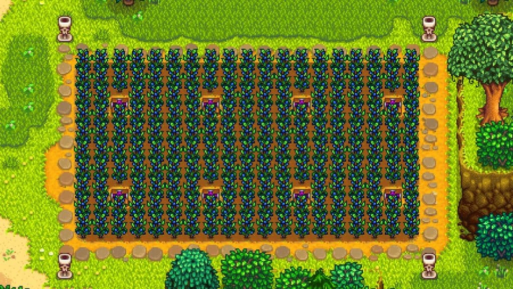 The 10+ Best Summer Crops Ranked in Stardew Valley