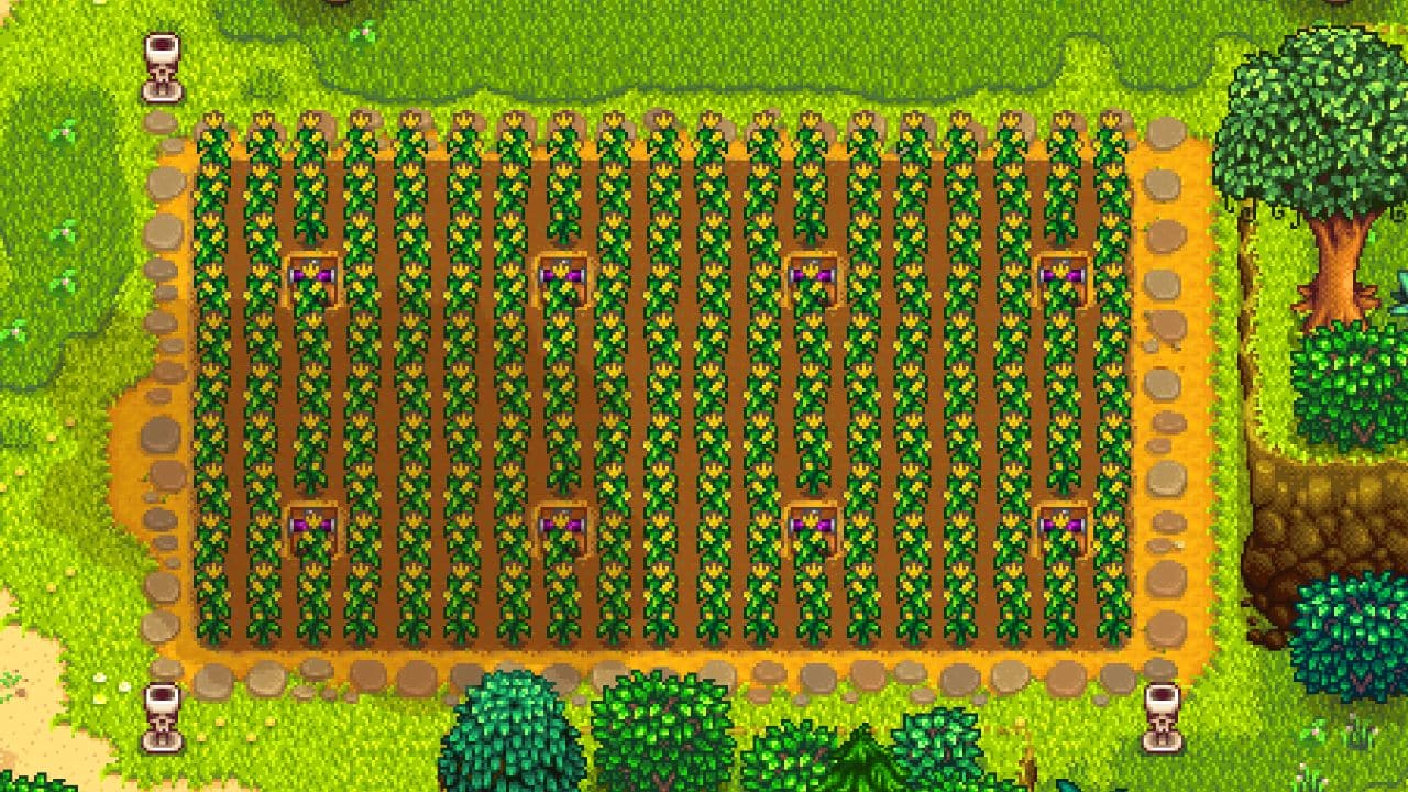 The 10+ Best Summer Crops Ranked in Stardew Valley