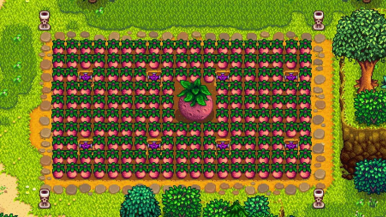 The 10+ Best Summer Crops Ranked in Stardew Valley