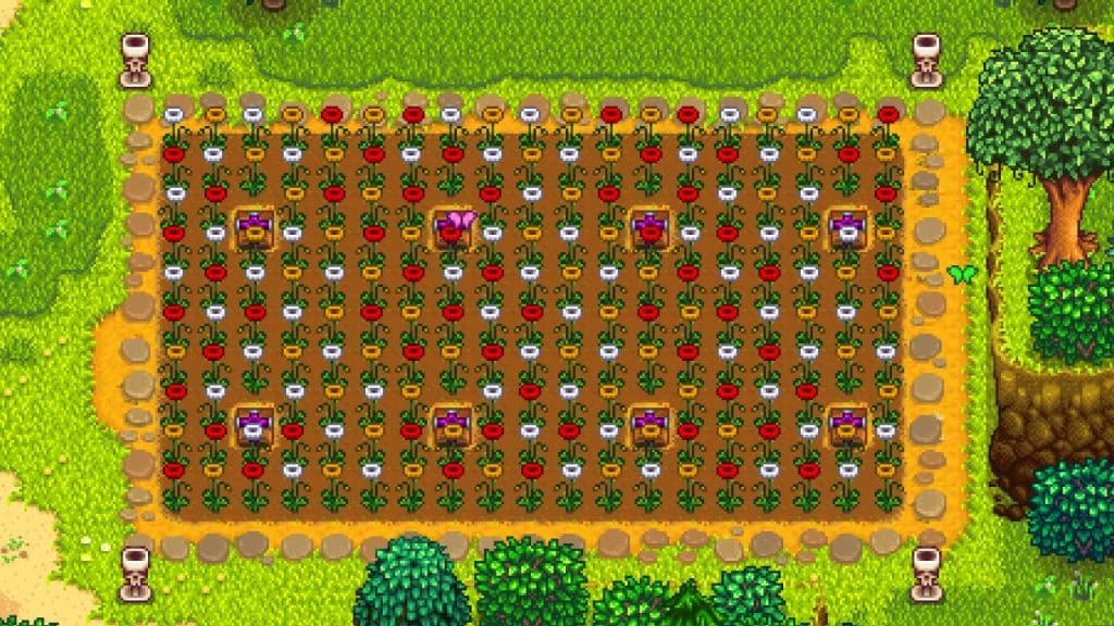 A Poppy farm in Stardew Valley.