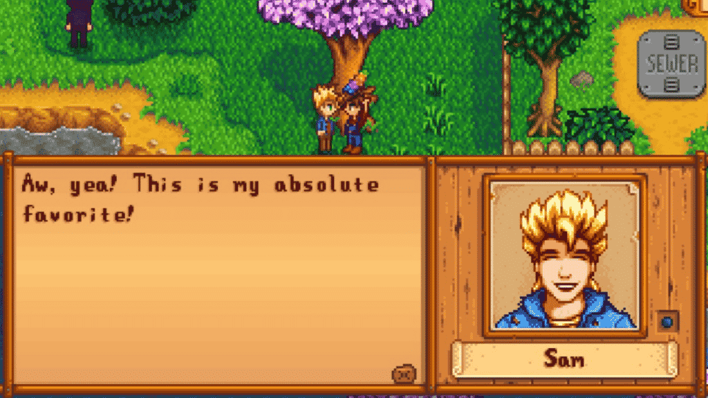 A dialogue with Sam in Stardew Valley/