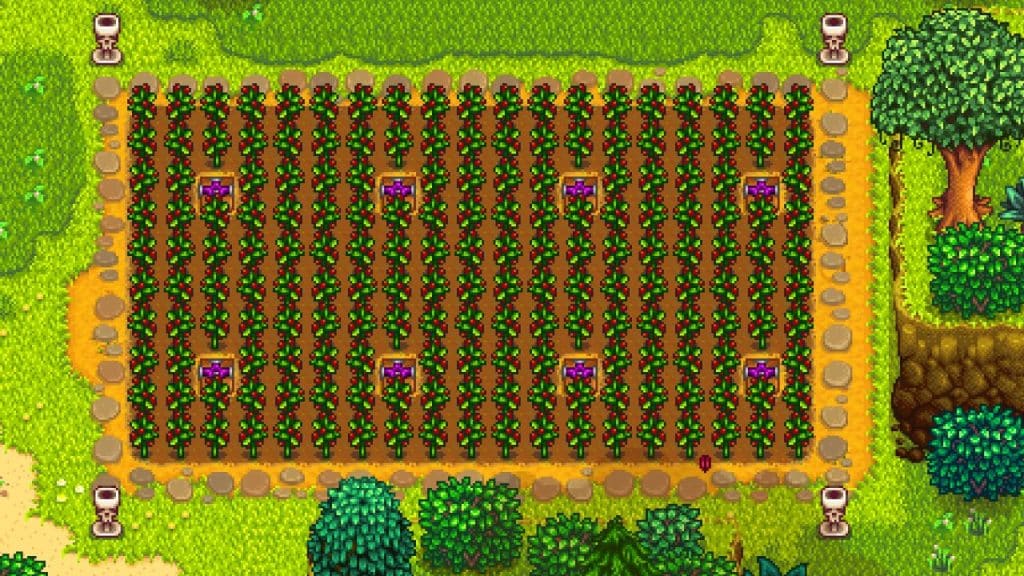 The 10+ Best Summer Crops Ranked in Stardew Valley