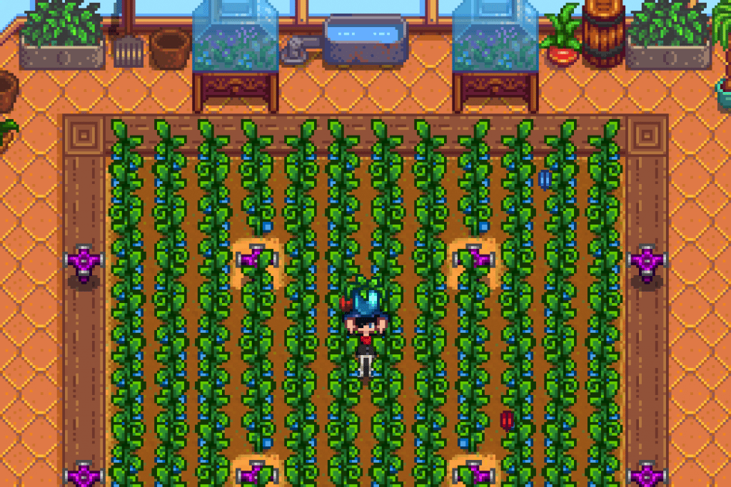 The player holding an Ancient Fruit in an Ancient Fruit farm inside the Greenhouse in Stardew Valley