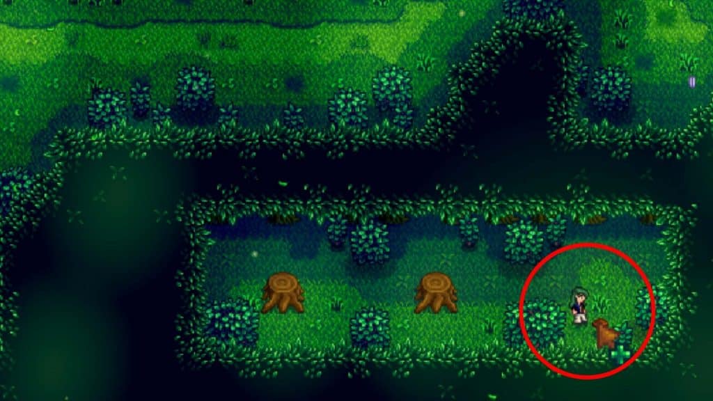 stardew-valley-everything-you-need-to-know-about-the-secret-woods