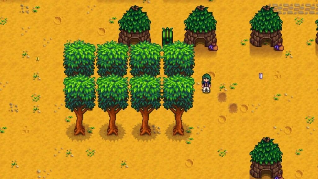 A player standing close to mahogany tree in Stardew Valley.