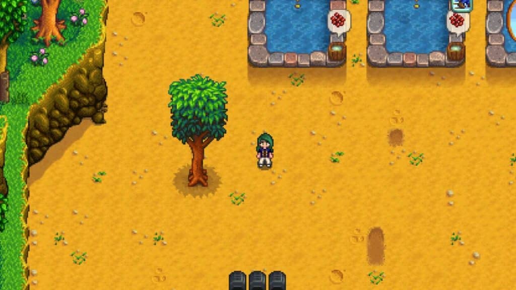 A player beside a Stage 5 Mahogany Tree in Stardew Valley.