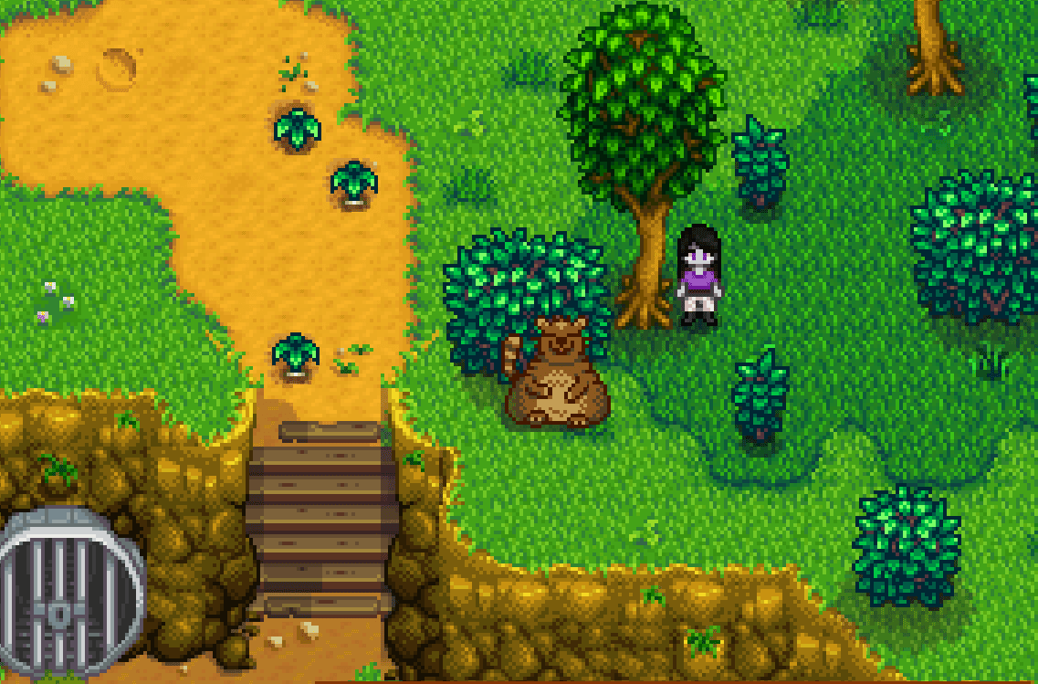 How to Help the Raccoon in the Cindersap Forest - Stardew | Guide