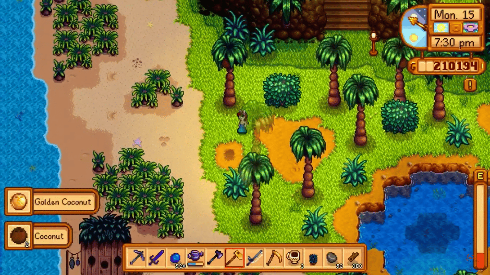 The Best Way to Get Golden Walnuts in Stardew Valley 8 Location and