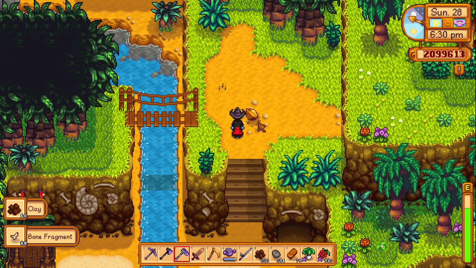 The Best Way to Get Golden Walnuts in Stardew Valley 8 Location and