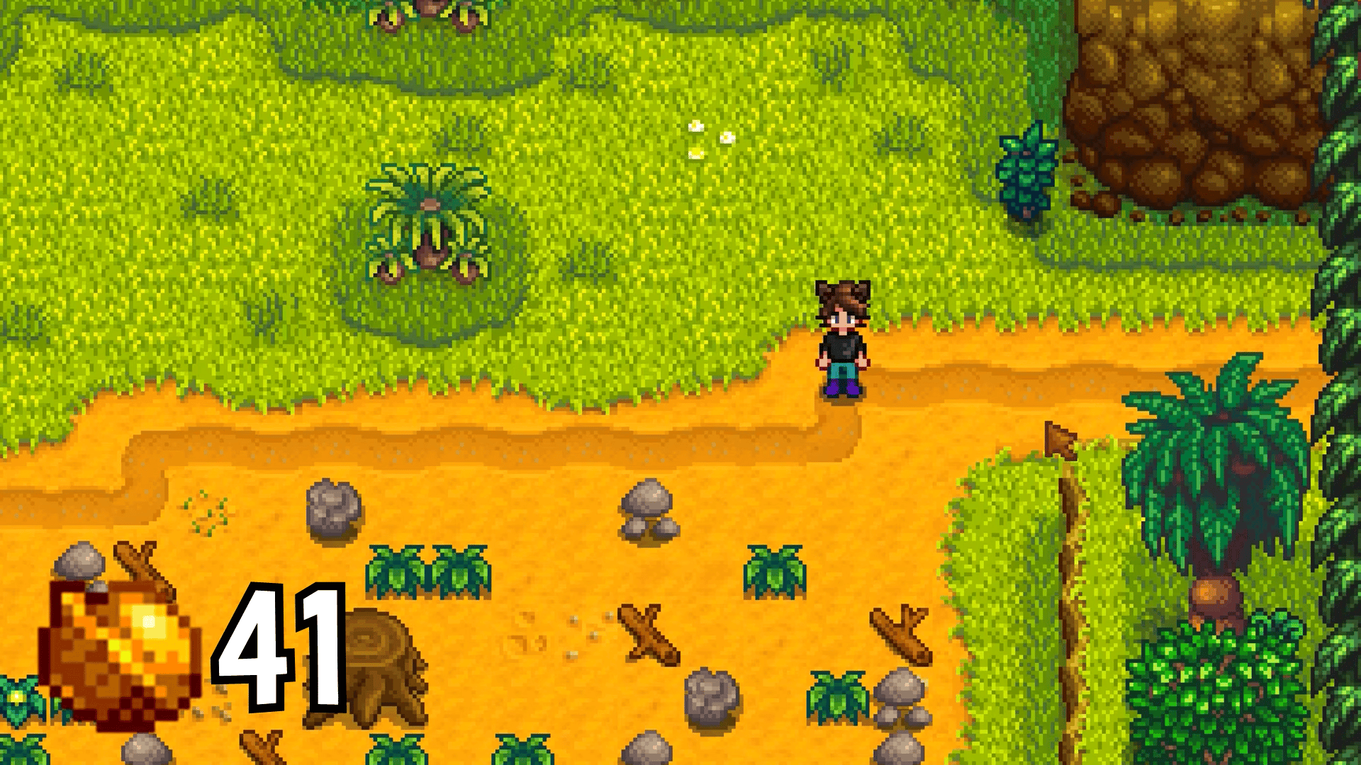 The Best Way to Get Golden Walnuts in Stardew Valley 8 Location and
