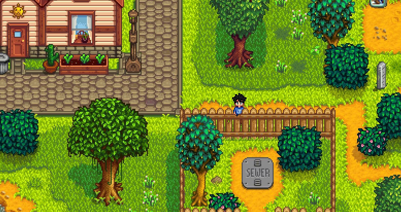 Witch's Hut How To Quickly Find This Mysterious Shack Stardew Guide