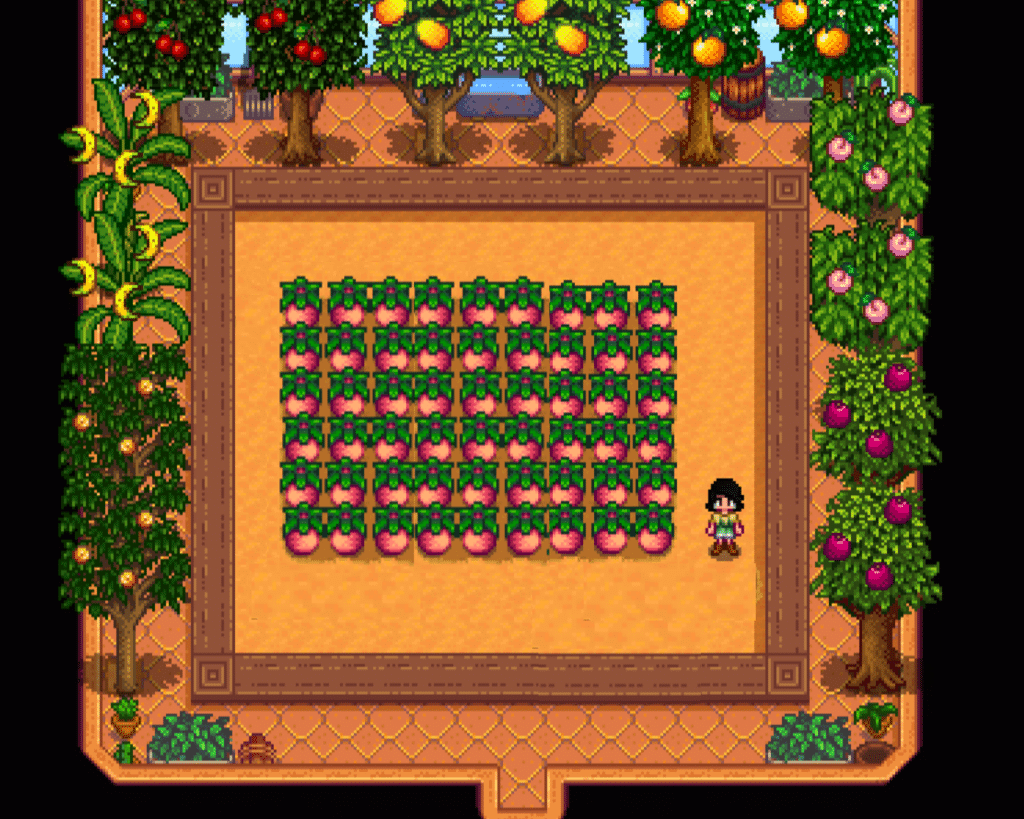 Top 11 Best Fruit Crops In Stardew Valley 2023 Stardew Guide