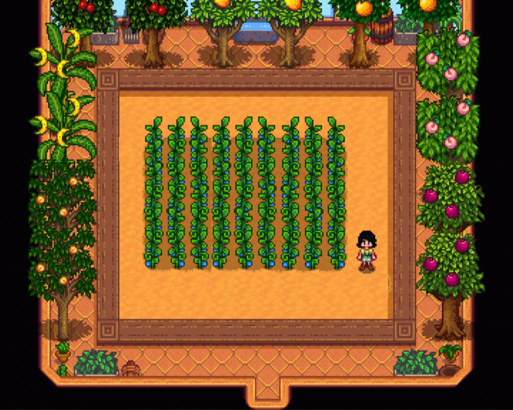 Ancient fruit stardew valley fruit crop