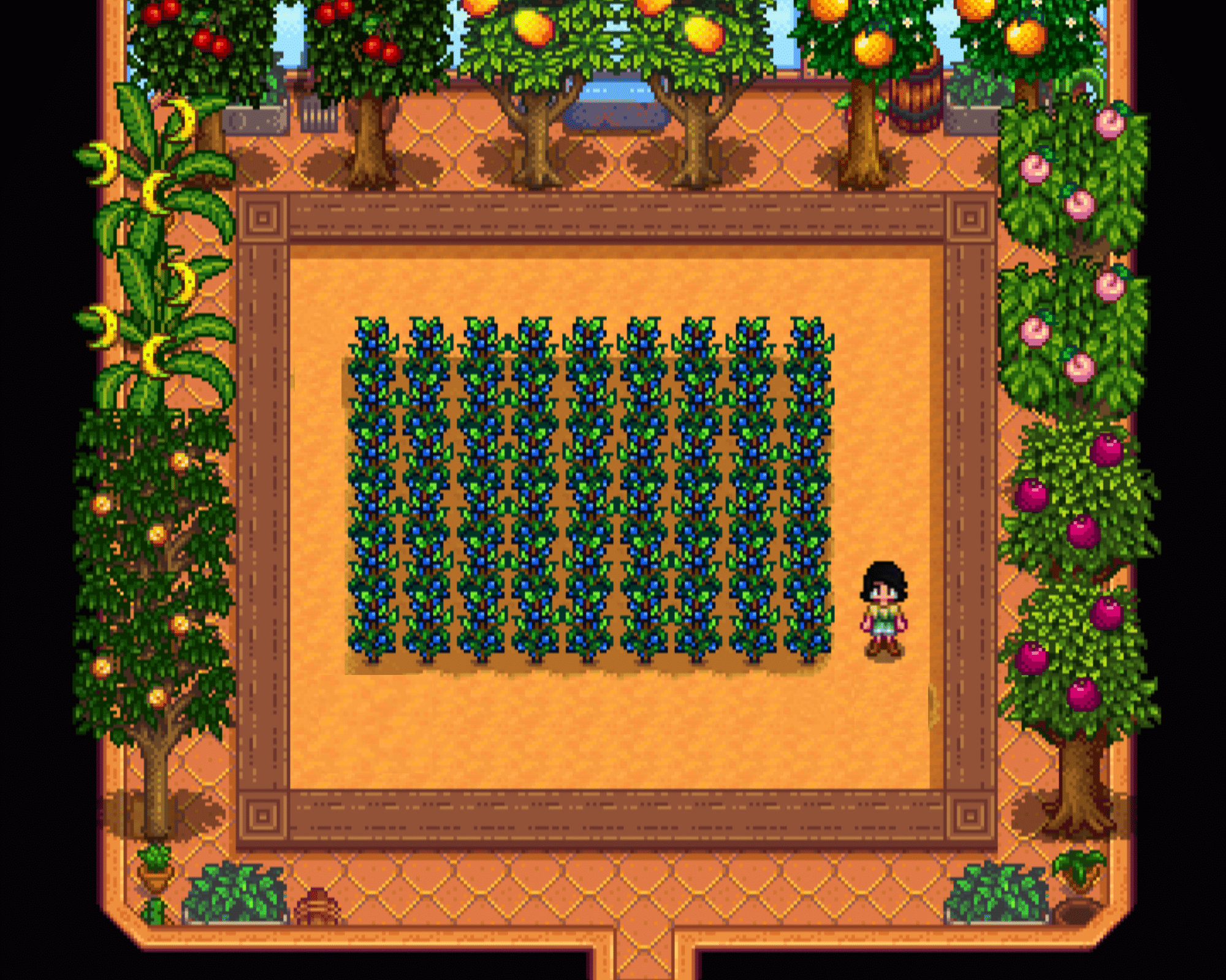 Top 11 Best Fruit Crops In Stardew Valley 2023 Stardew Guide