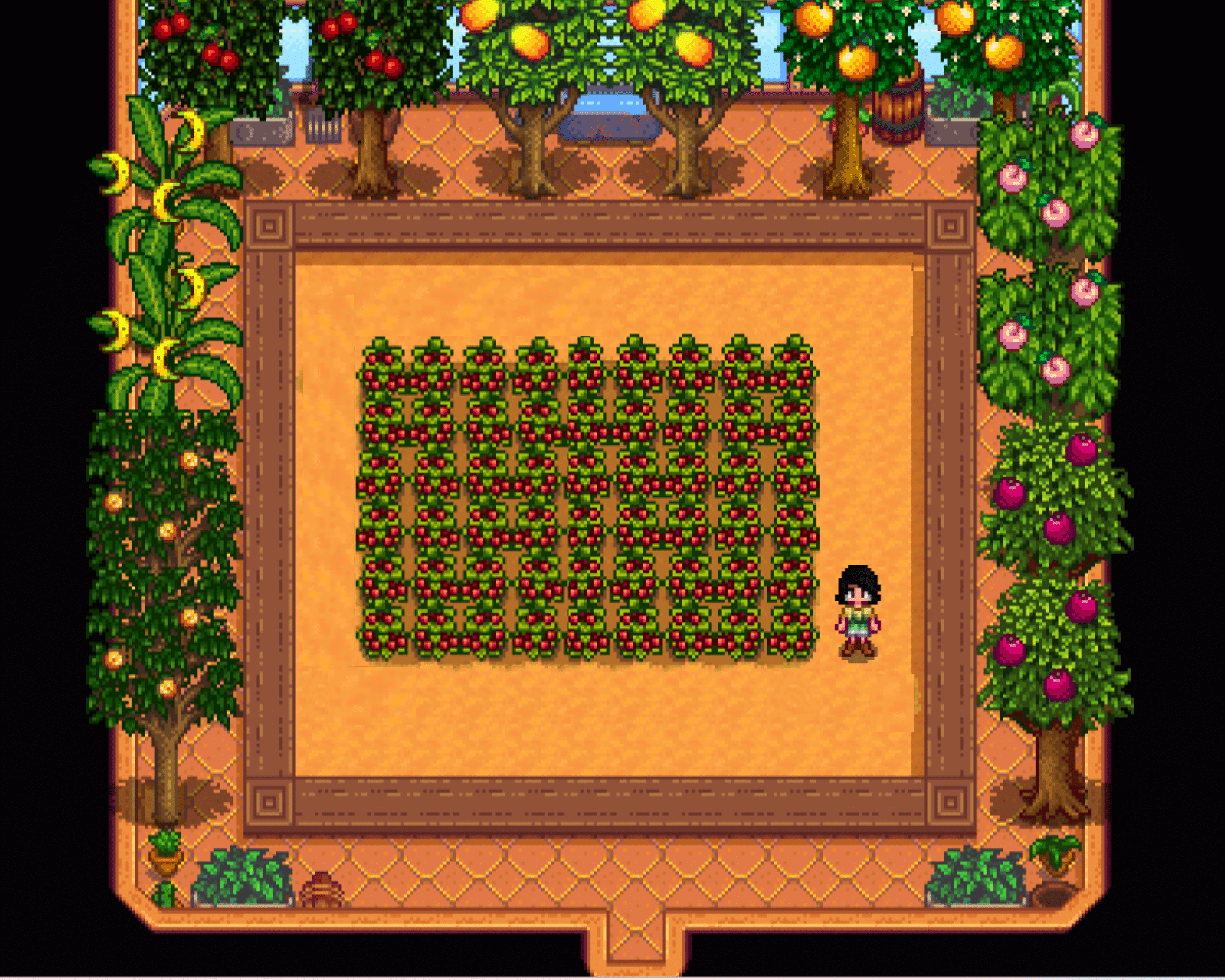 Top 11 Best Fruit Crops In Stardew Valley 2023 Stardew Guide