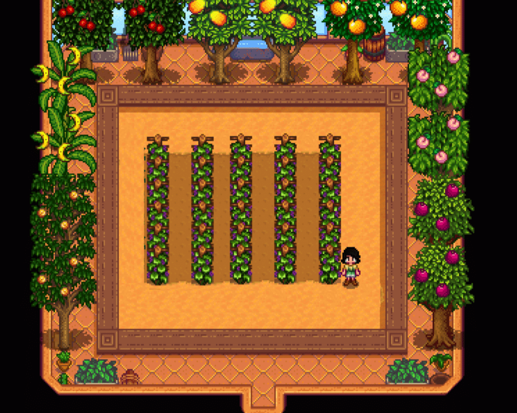 Grapes in Stardew Valley Fruit crop show