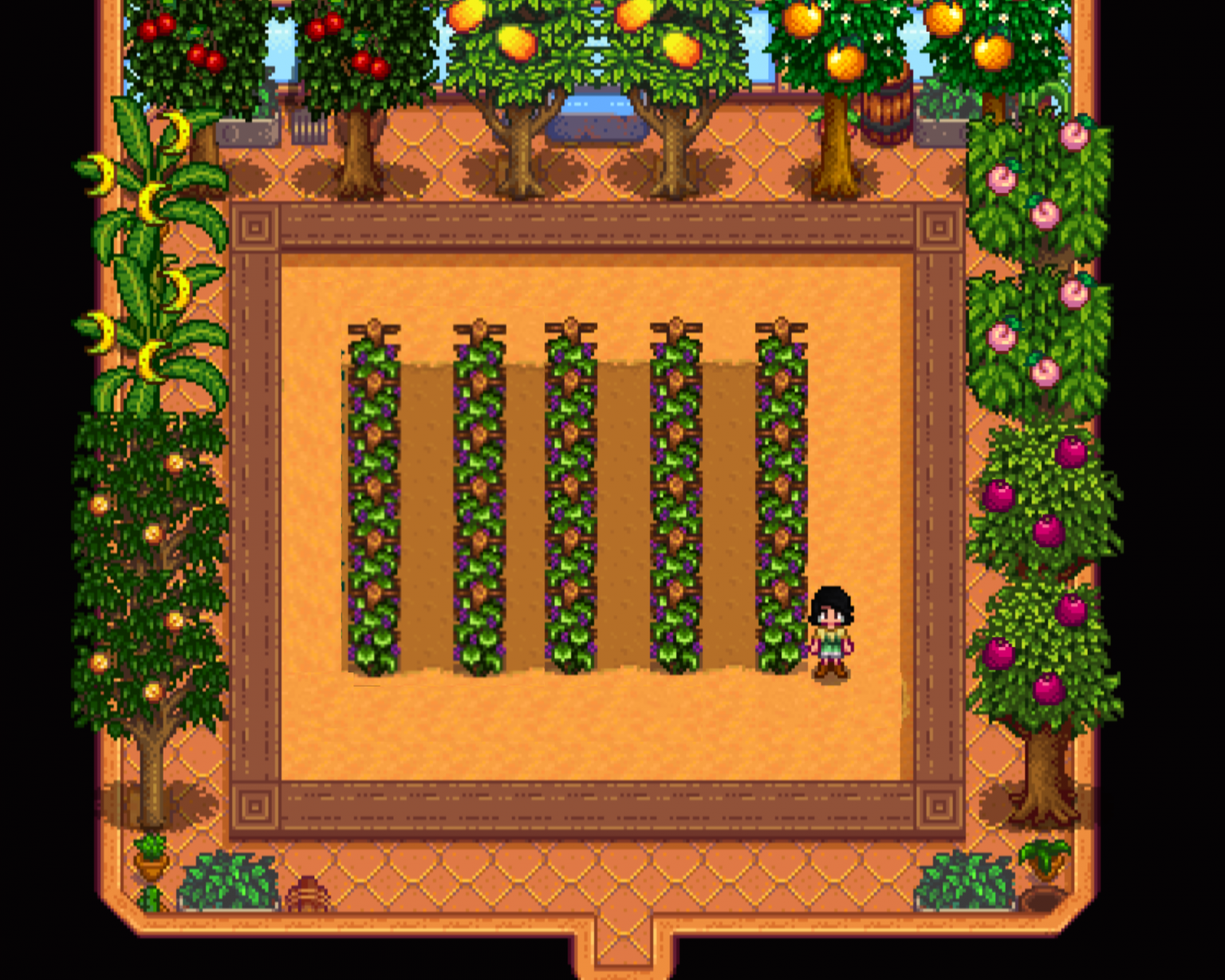 Top 11 Best Fruit Crops In Stardew Valley 2023 Stardew Guide