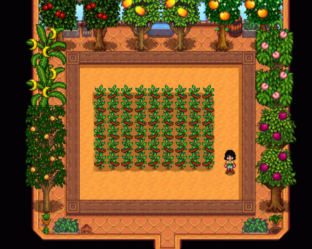 hot pepper fruit crop stardew valley