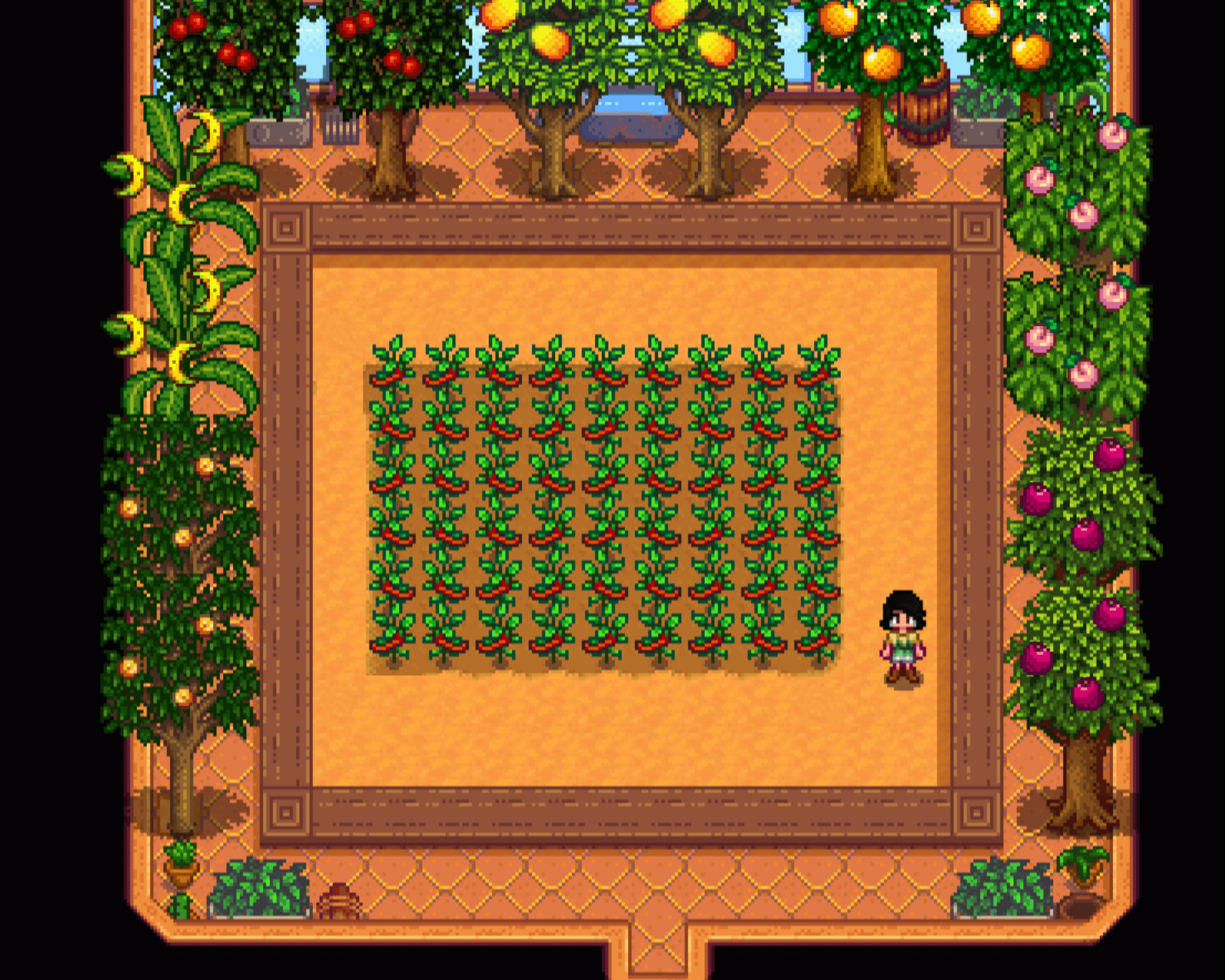 Top 11 Best Fruit Crops In Stardew Valley 2023 Stardew Guide