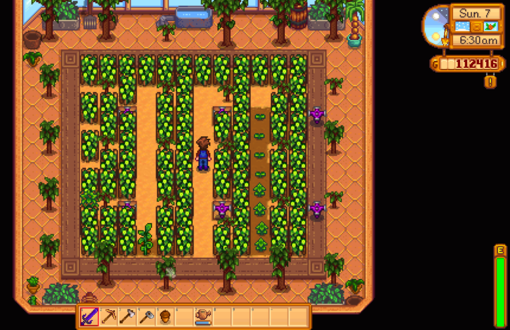 Summer crops: Hops