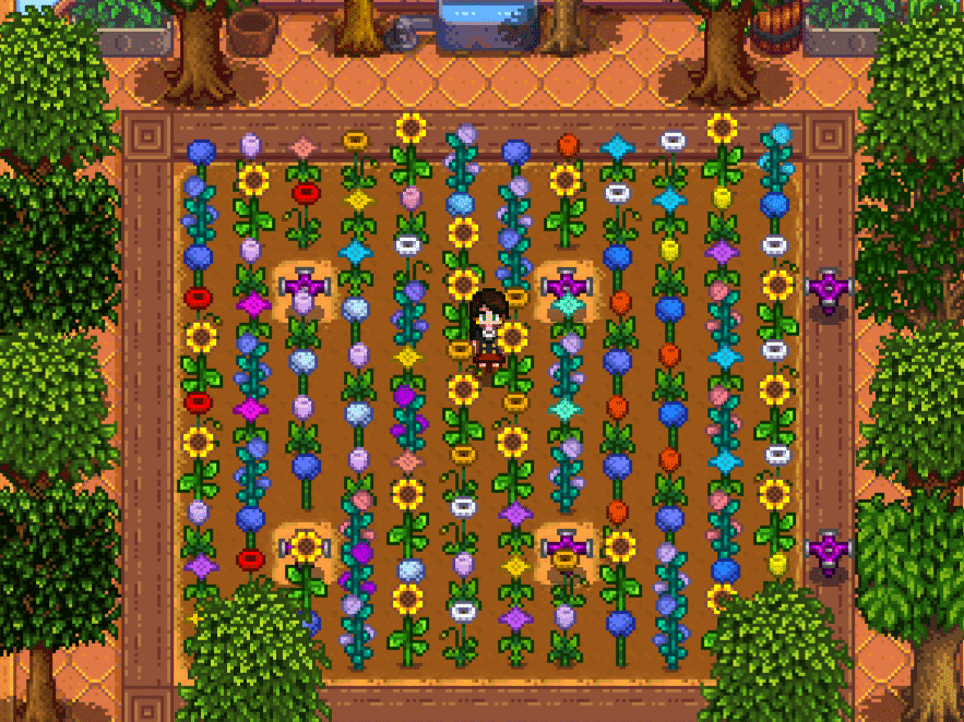 Summer crops: Flowers