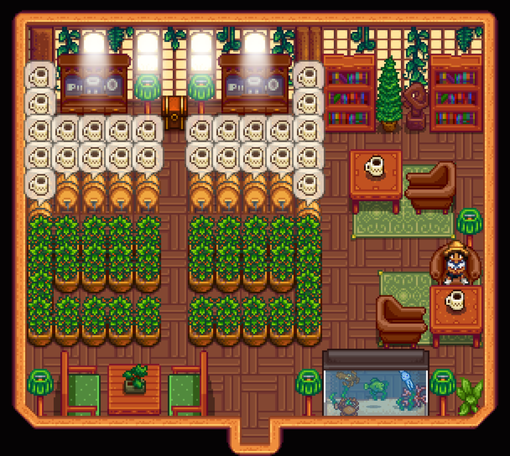 Summer crops: Coffee Bean